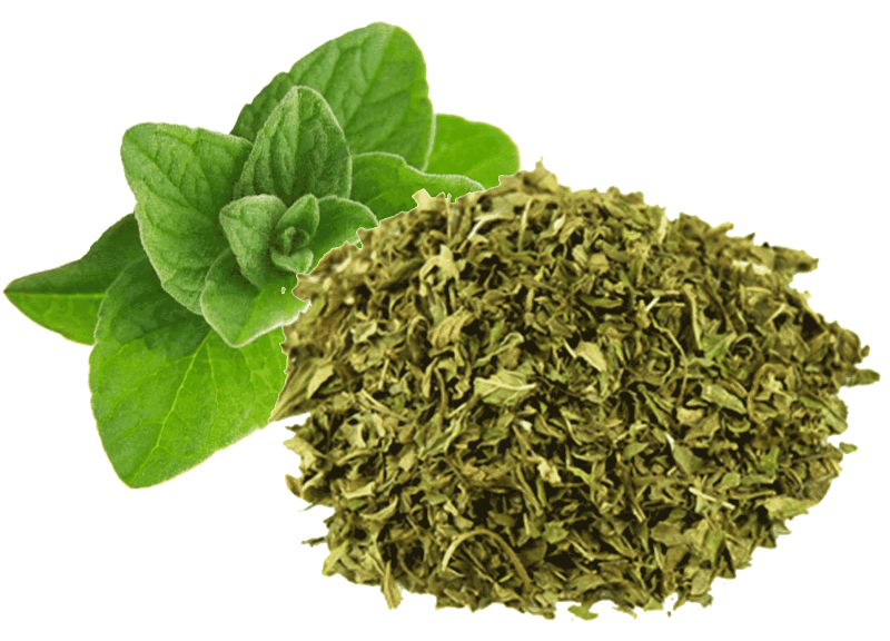 Dried Herb Mint 50g