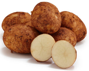 Potato Brushed - Various Sizes