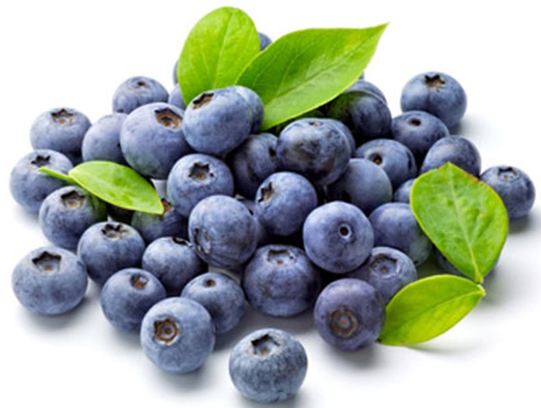 Berry Blueberry Punnet 125g