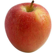 Apple Kanzi