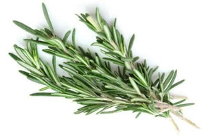 Herb Rosemary bunch