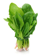 Spinach English bunch