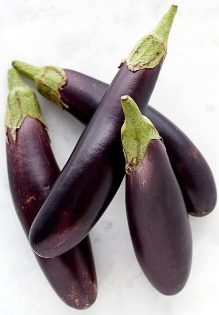Eggplant Baby 500g pack
